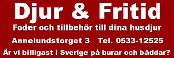 djur o fritid